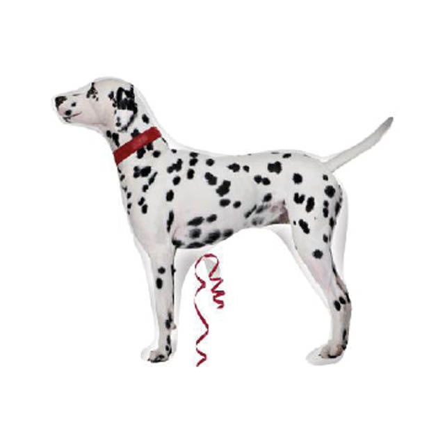 Helium Ballon Dalmatiër 70 CM, ballon Greetz, Greetz, ballon versturen, helium ballon, ballonnen, verjaardag ballon, ballon bezorgen, ballon cadeau, ballon versturen verjaardag, Hallmark ballon, ballon sturen